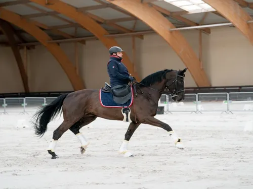 Jeux paralympiques. Des Mayennais et des Angevins entrent en scène